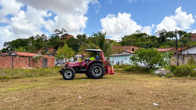 Mutirão promove serviços de limpeza no Verdes Horizontes.